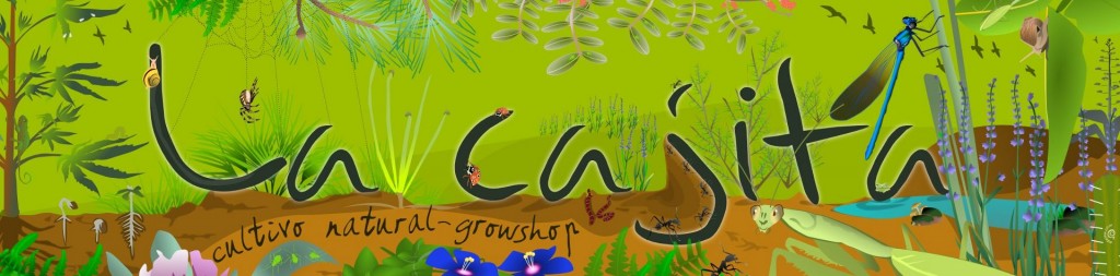 Imagen grafica para La Cajita, tienda de cultivo natural de Chiclana (Cadiz). Frontal (4m x 2m) para puerta principal.