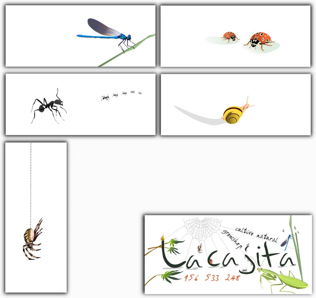 Imagen grafica para La Cajita, tienda de cultivo natural de Chiclana (Cadiz). Tarjeta comercial 5 reversos para un anverso.