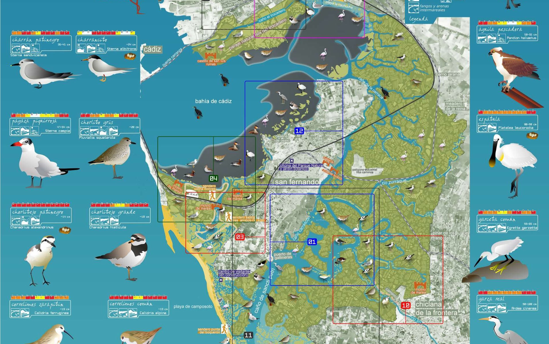 Mapa-guía ornitológico de la Bahía de Cádiz