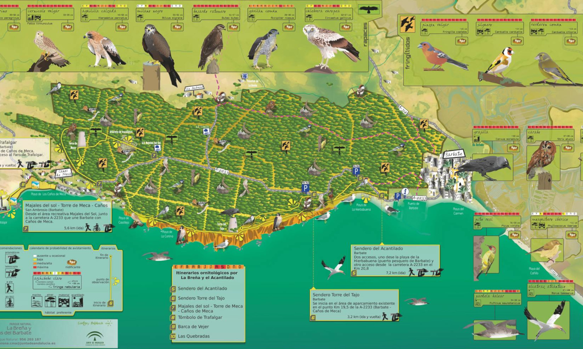 Mapa-guía ornitológico del Parque Natural Breña y Marismas del Barbate