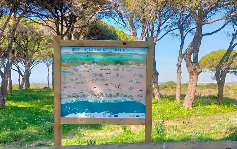 Cartel Biodiversidad del ecosistema litoral